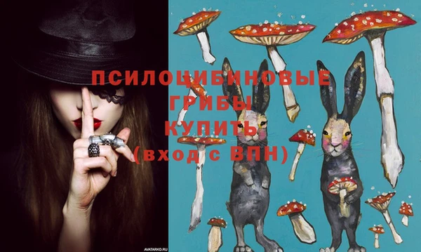 спиды Алексеевка