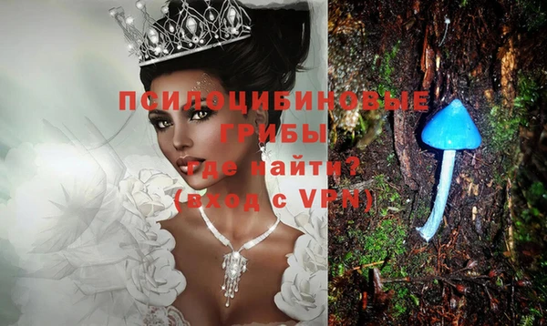 спиды Алексеевка