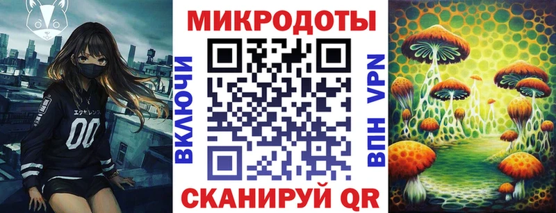 KRAKEN зеркало  Пустошка  Галлюциногенные грибы прущие грибы 